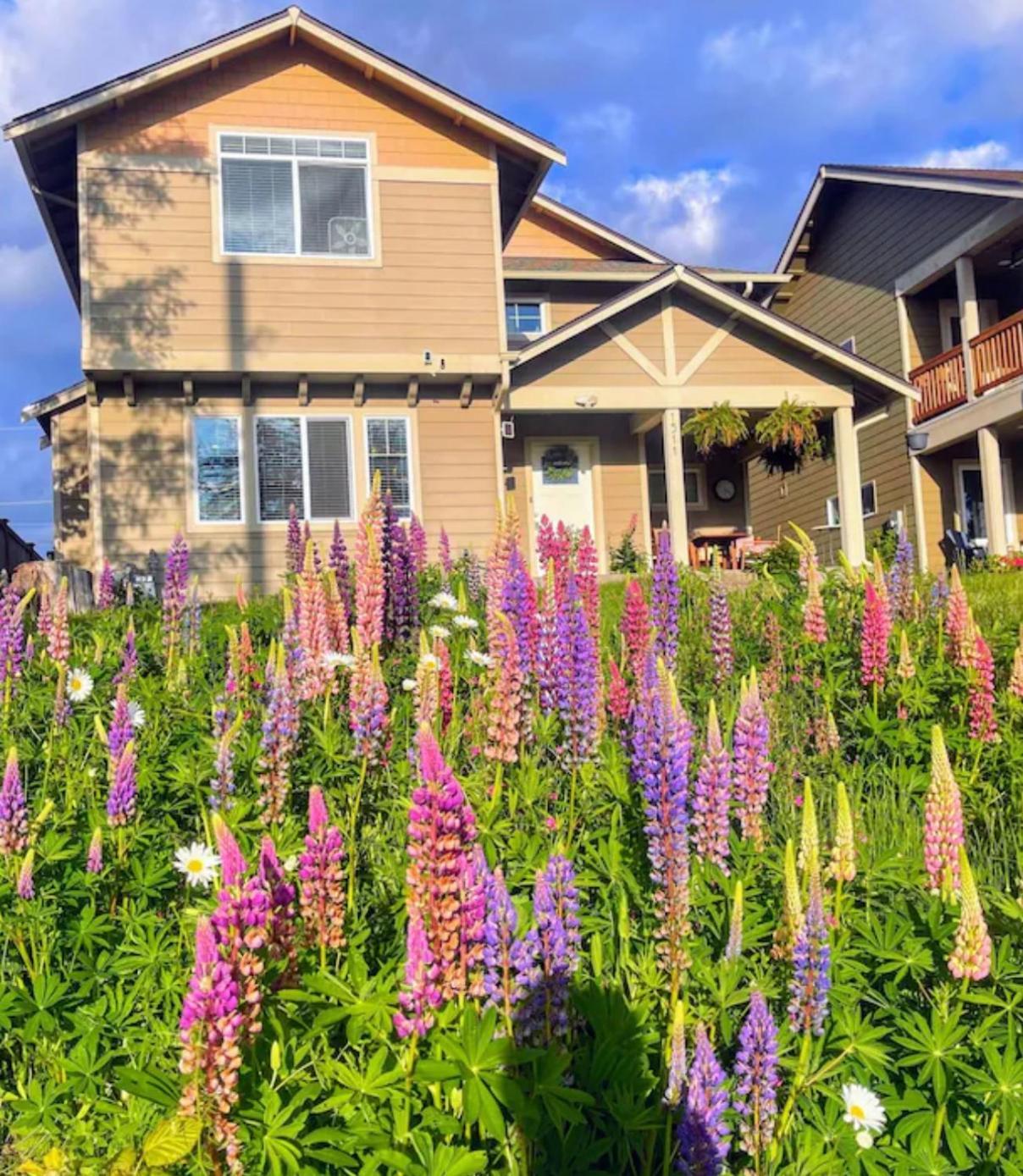 Central Tacoma Homestay With Breakfast Included -Private Room- 외부 사진